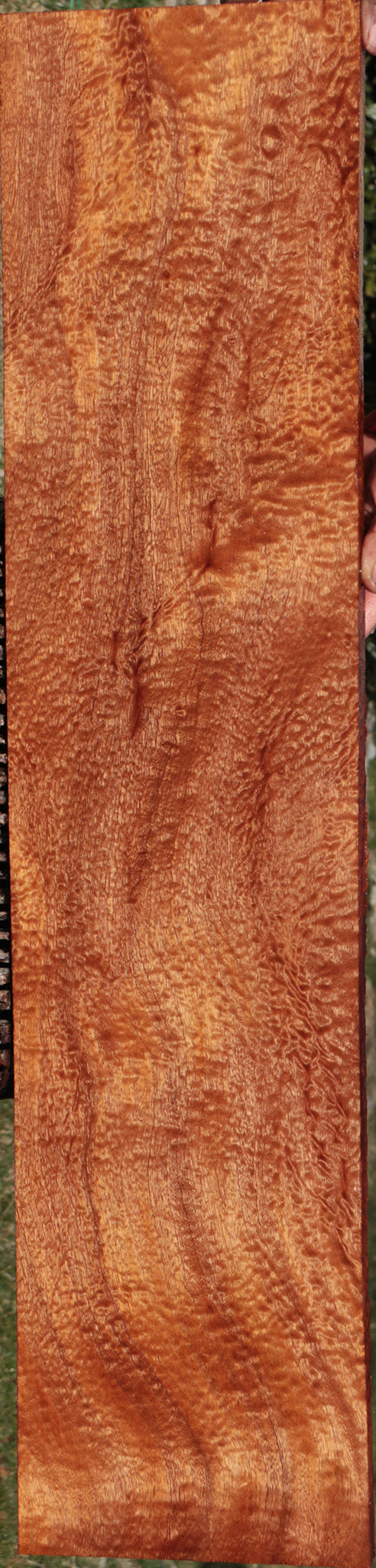 Exhibition Sapele Lumber