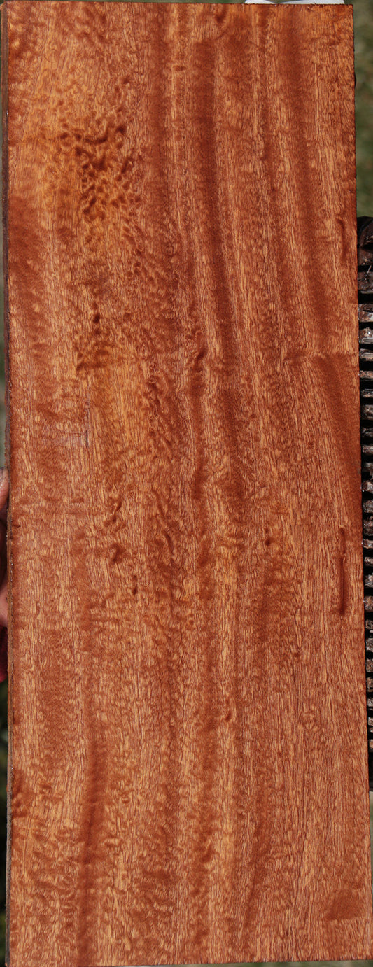 Extra Fancy Sapele Instrument Lumber
