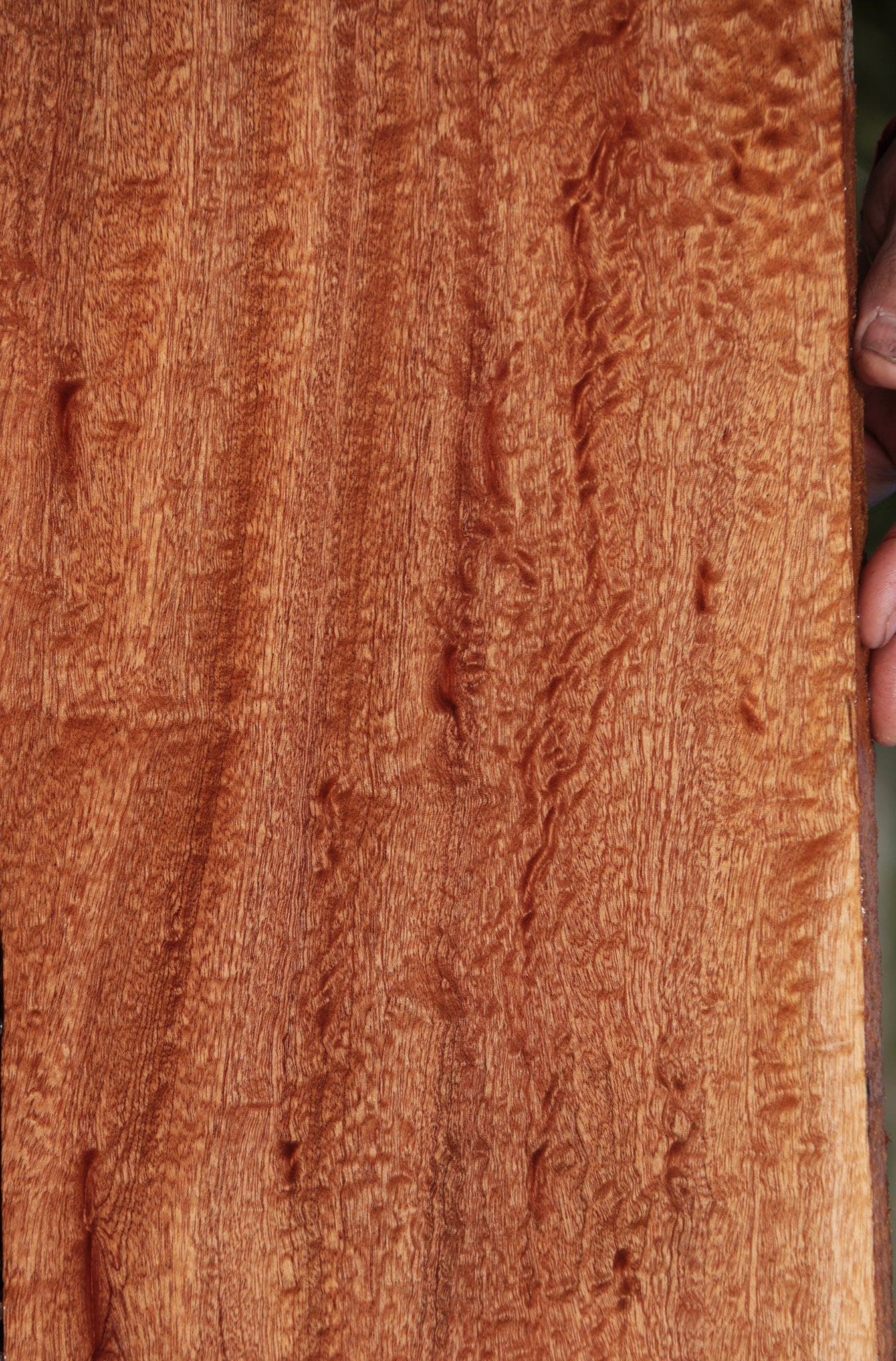 Extra Fancy Sapele Instrument Lumber