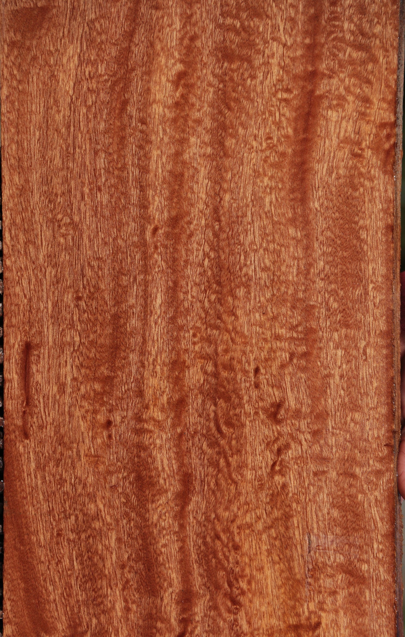 Extra Fancy Sapele Instrument Lumber