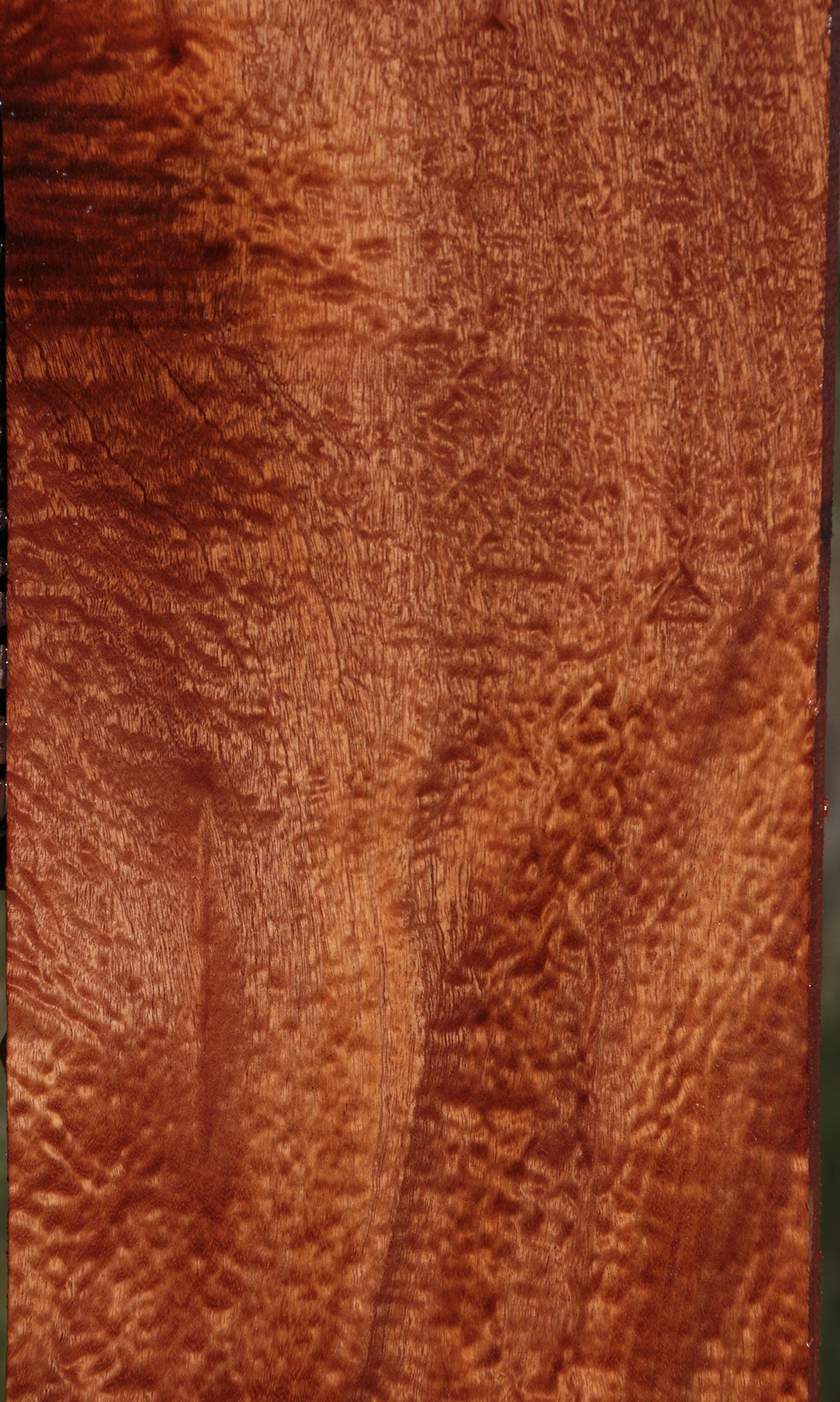 Exhibition Sapele Instrument Lumber