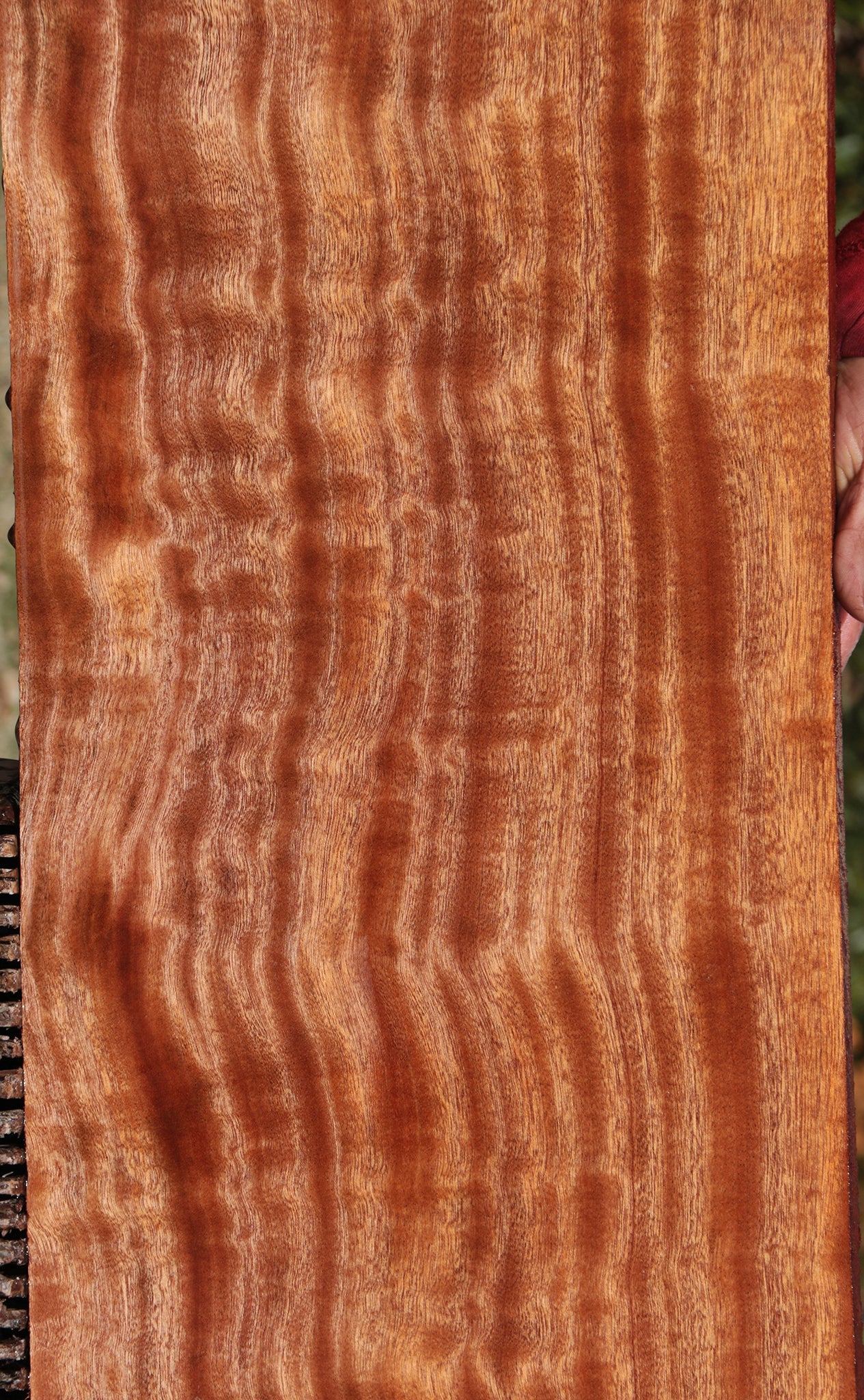 Extra Fancy Sapele Lumber