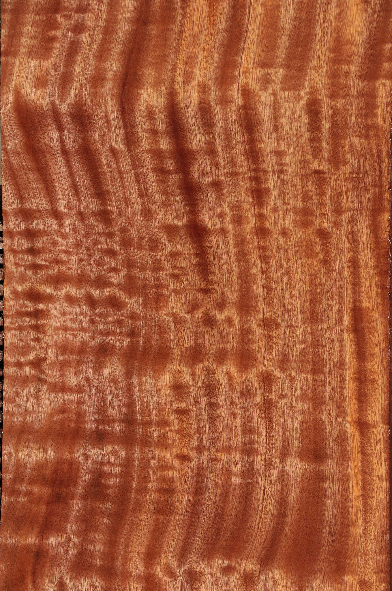 Extra Fancy Sapele Lumber