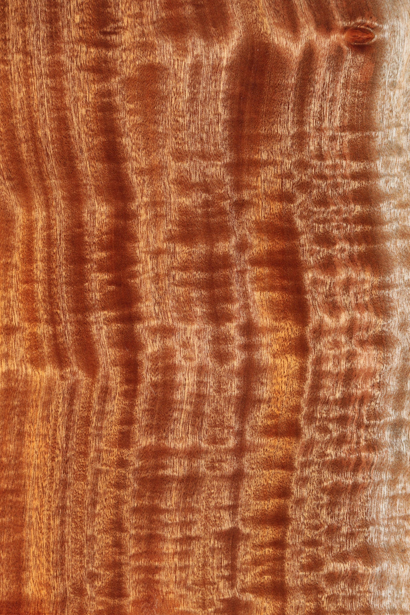 Exhibition Sapele Lumber