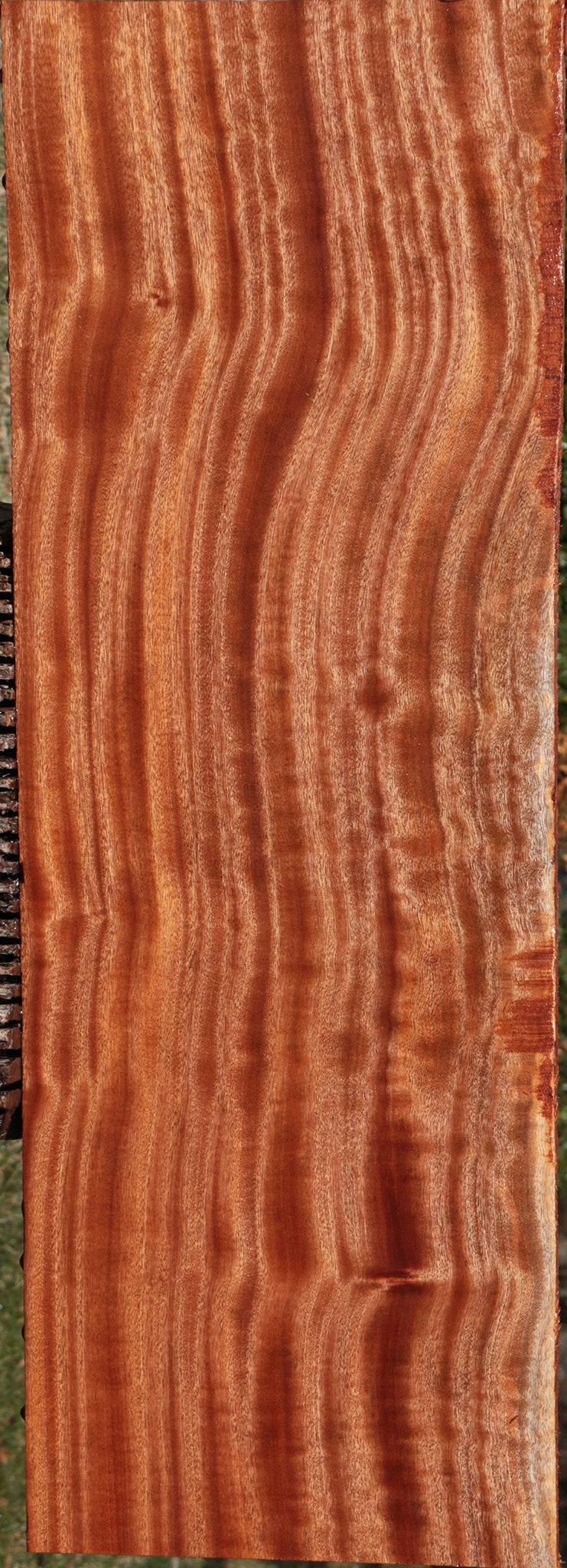 Exhibition Sapele Lumber