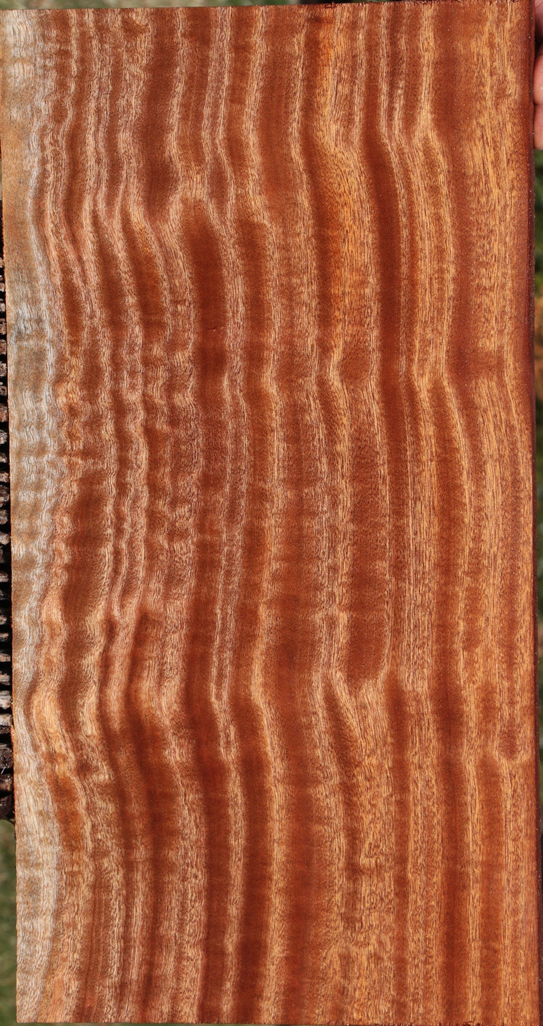 Extra Fancy Sapele Lumber
