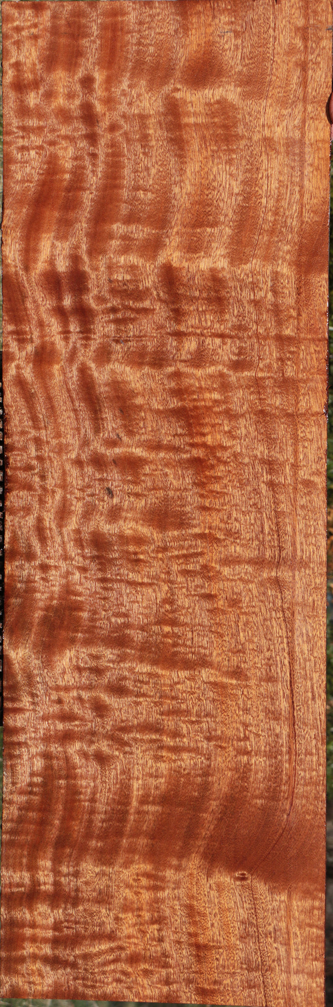Extra Fancy Sapele Lumber