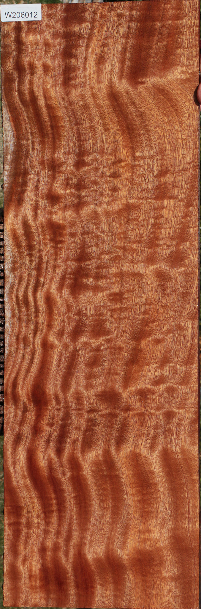 Extra Fancy Sapele Lumber