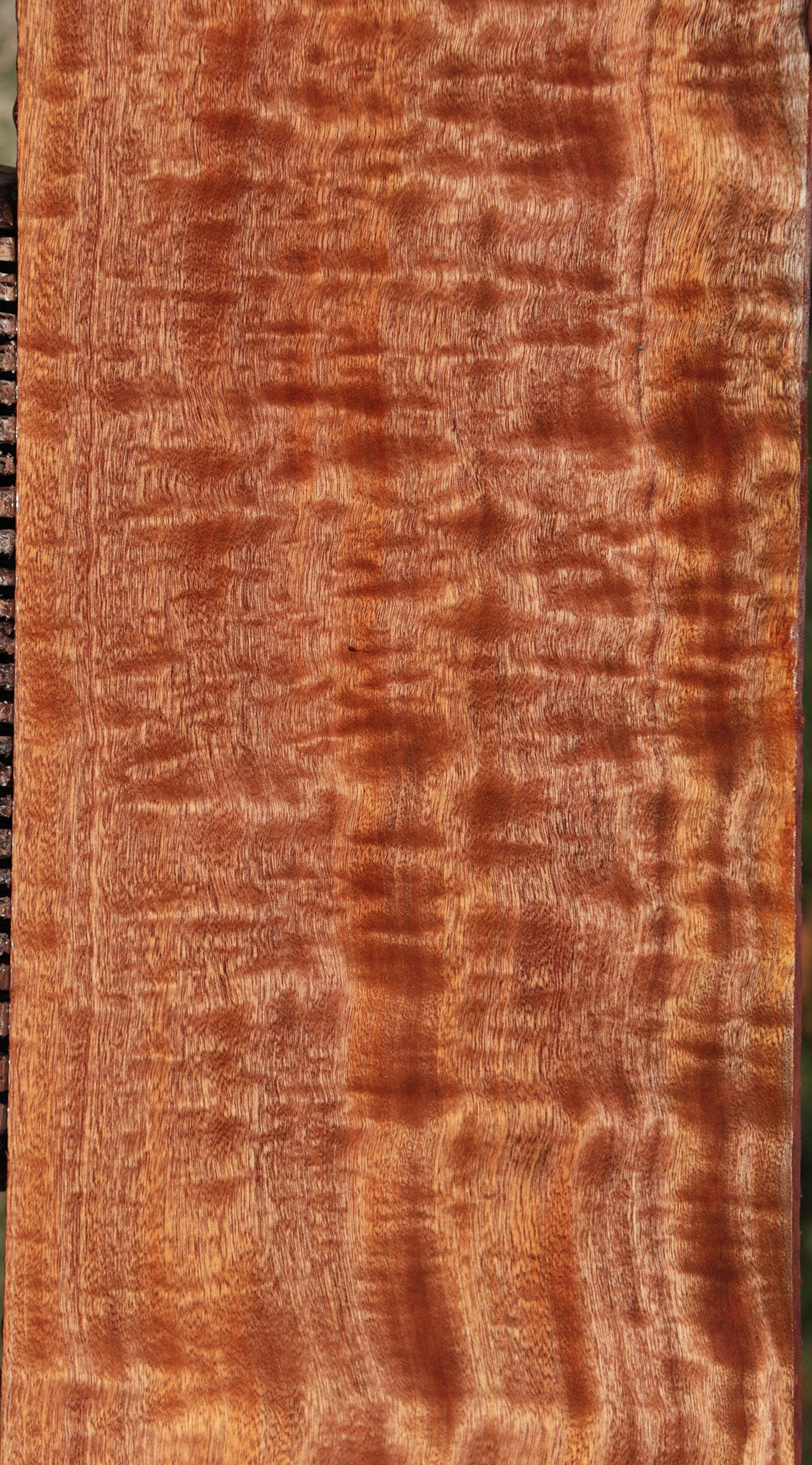 Exhibition Sapele Lumber
