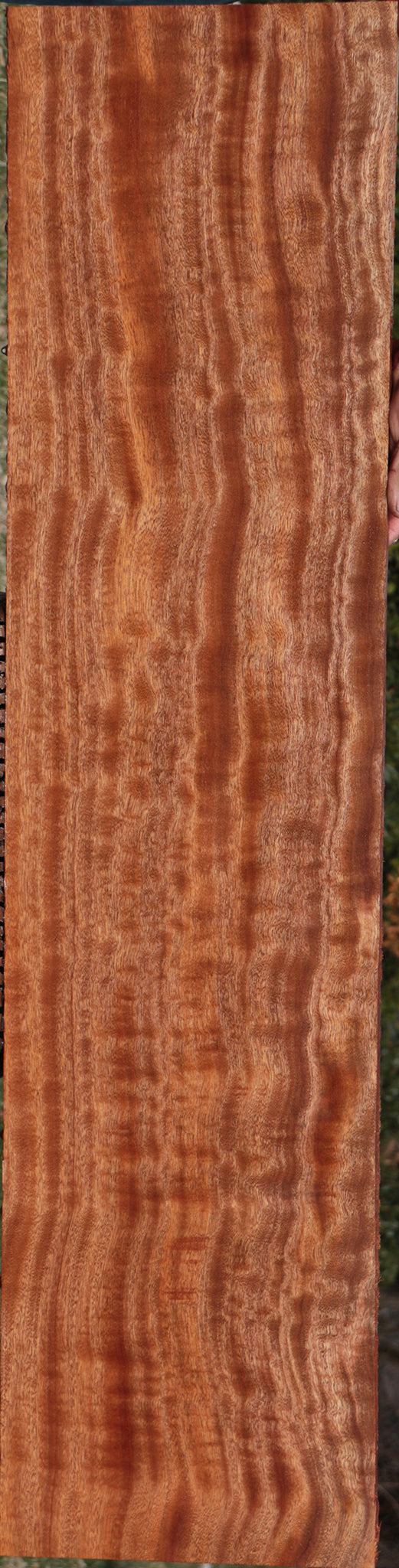 Exhibition Sapele Lumber