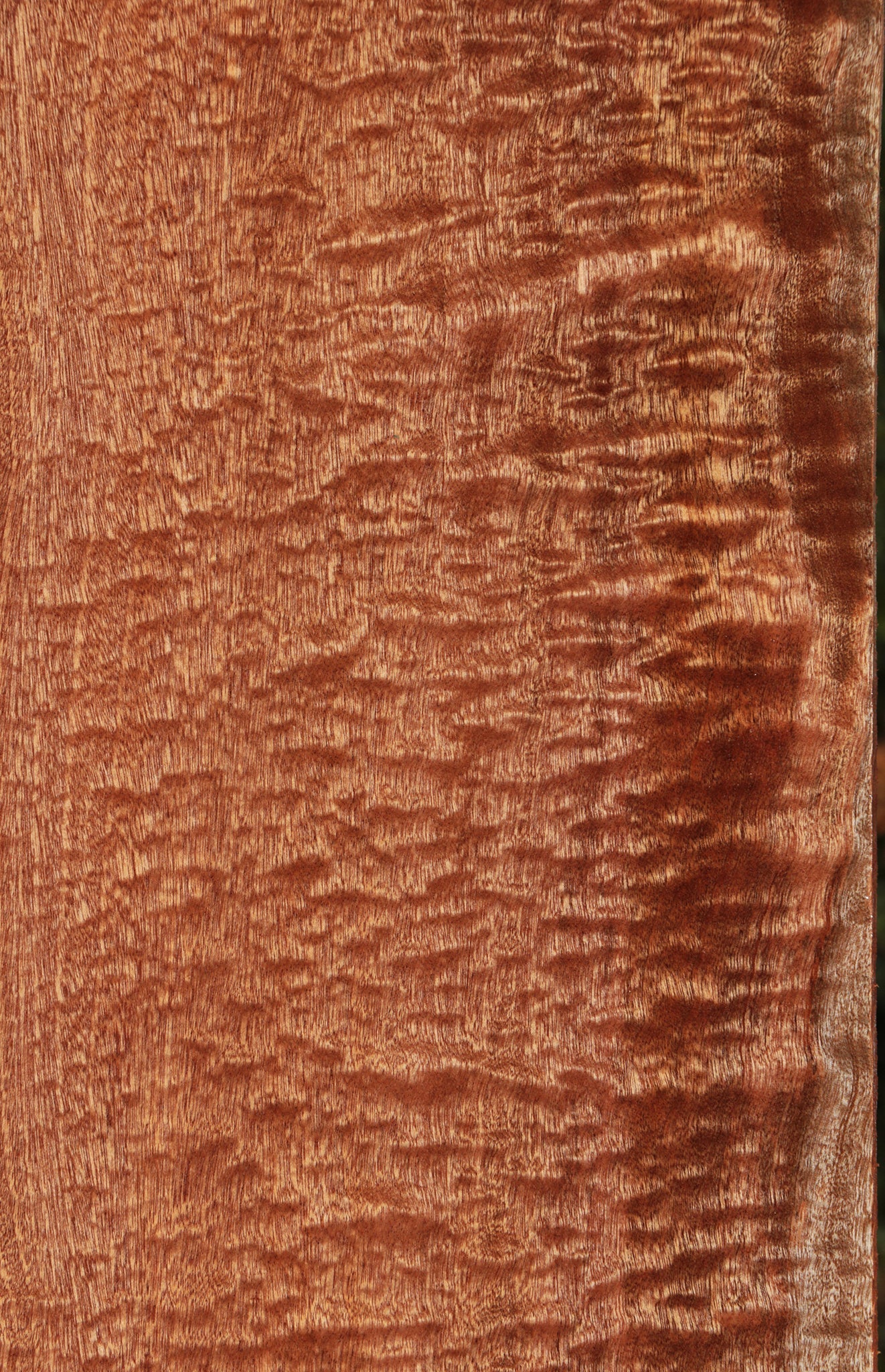 Exhibition Sapele Lumber