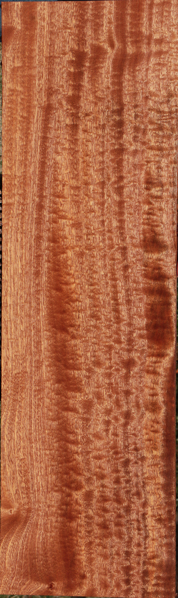 Exhibition Sapele Lumber