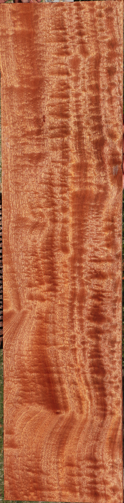 Exhibition Sapele Lumber