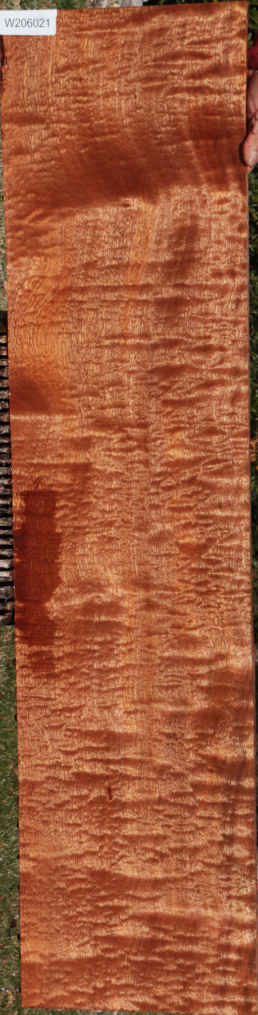 Exhibition Sapele Lumber