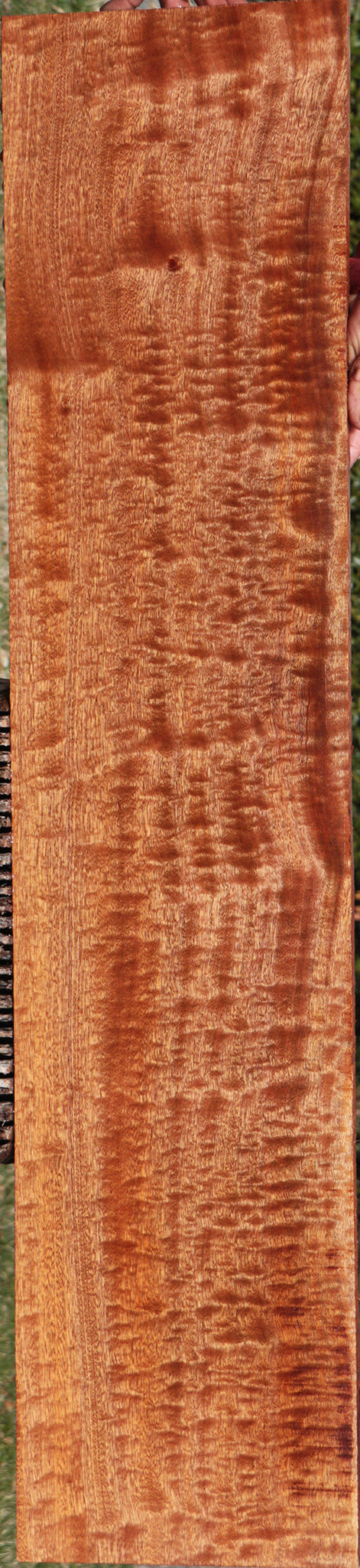 Exhibition Sapele Lumber