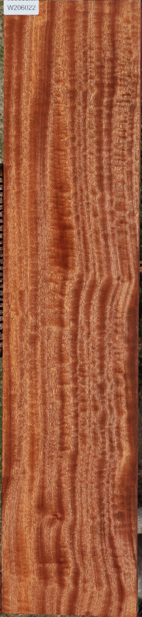 Exhibition Sapele Lumber