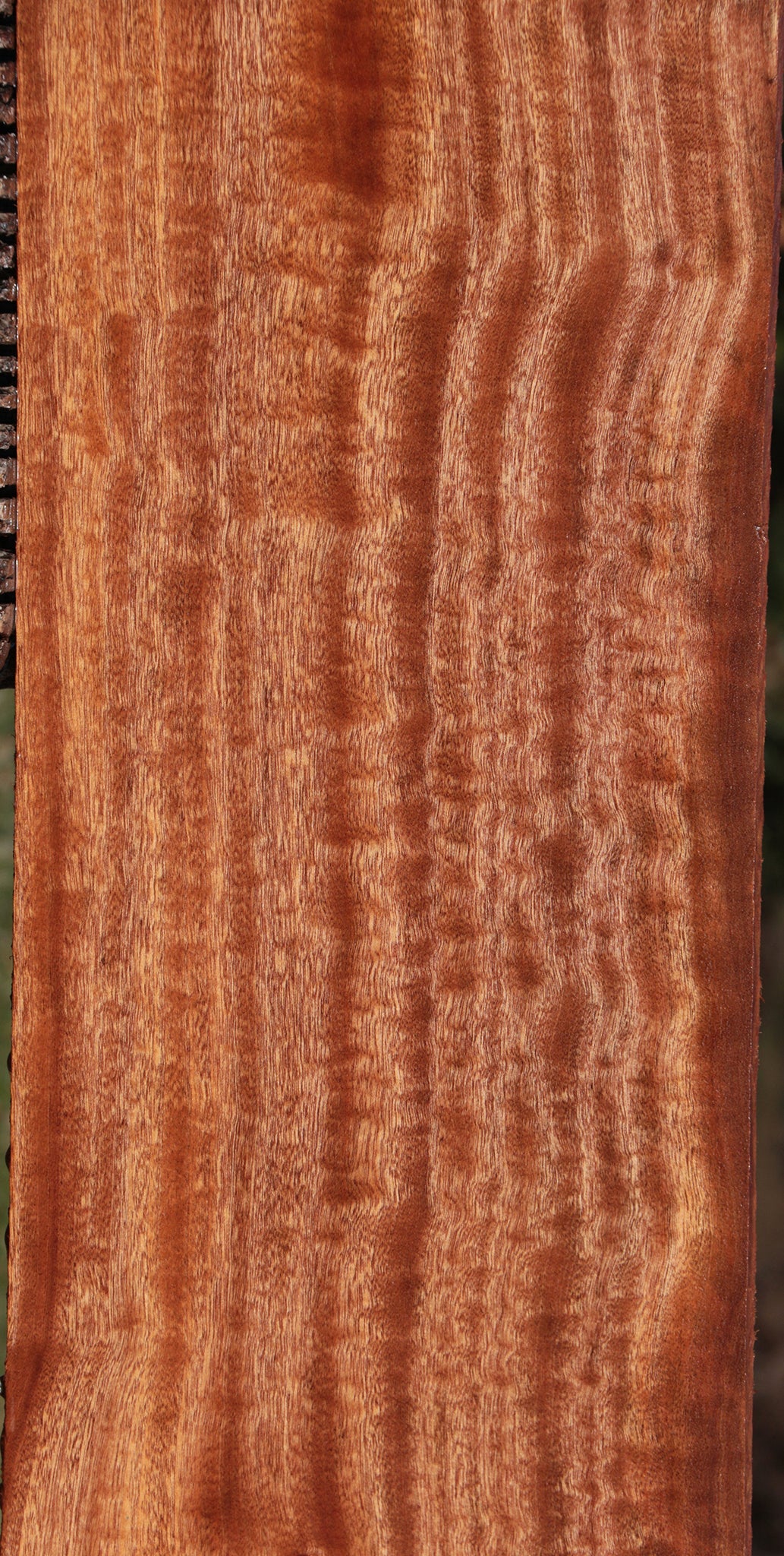 Exhibition Sapele Lumber
