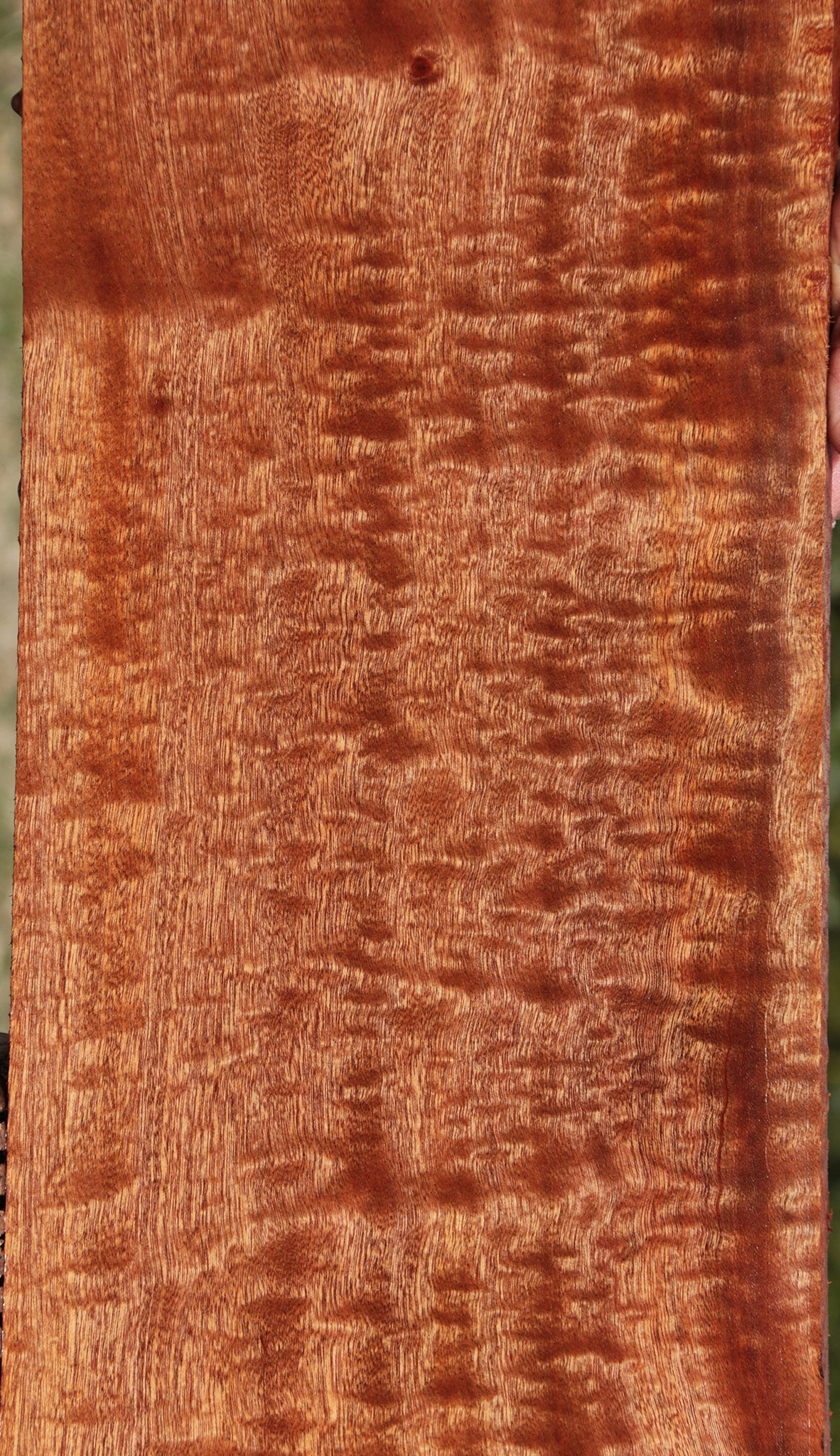 Exhibition Sapele Lumber