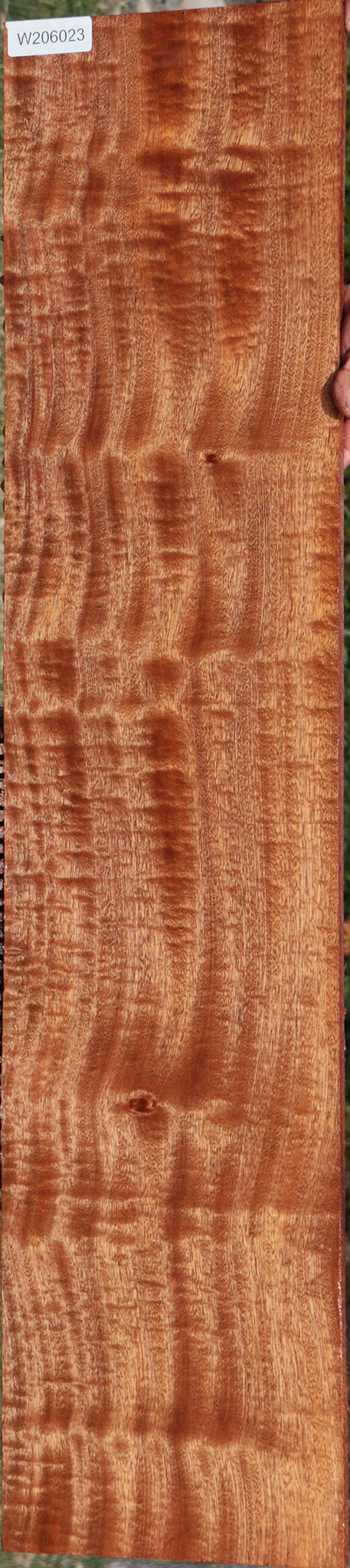 Exhibition Sapele Lumber