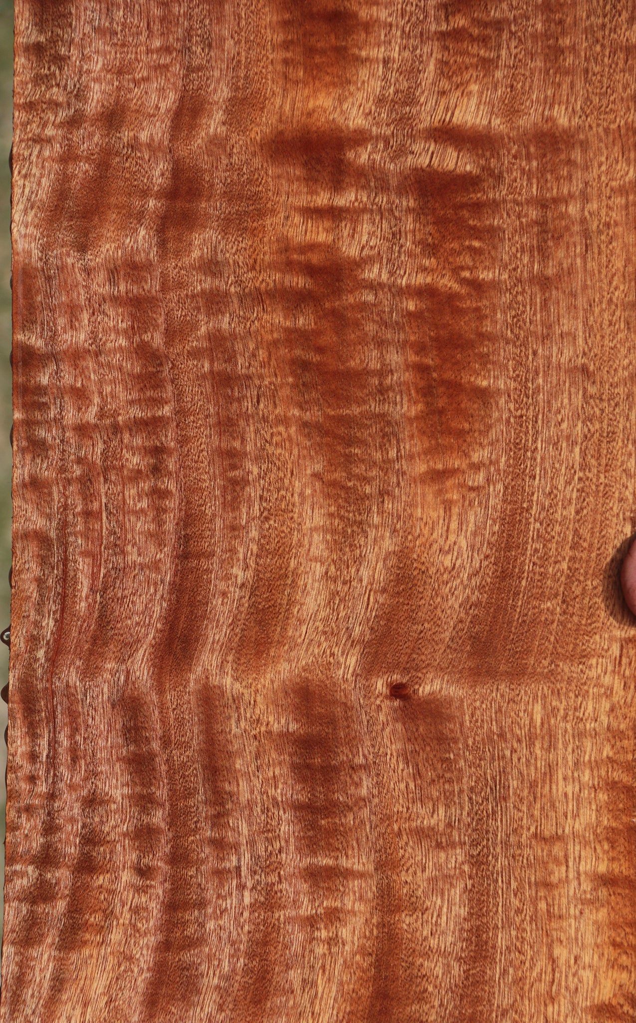 Exhibition Sapele Lumber