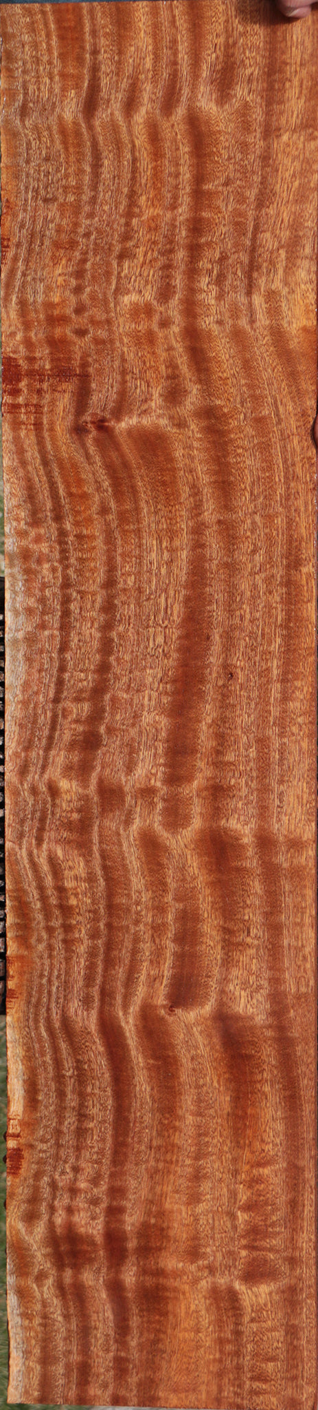 Exhibition Sapele Lumber