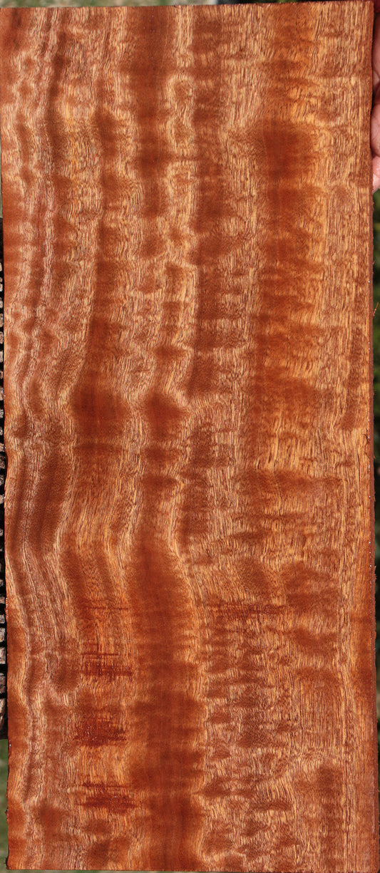 Extra Fancy Sapele Lumber