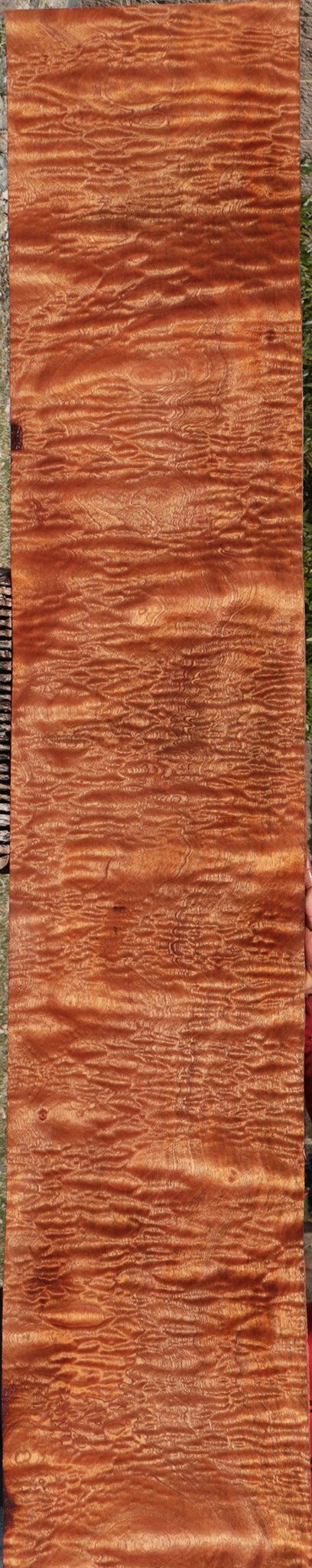 Exhibition Sapele Instrument Lumber