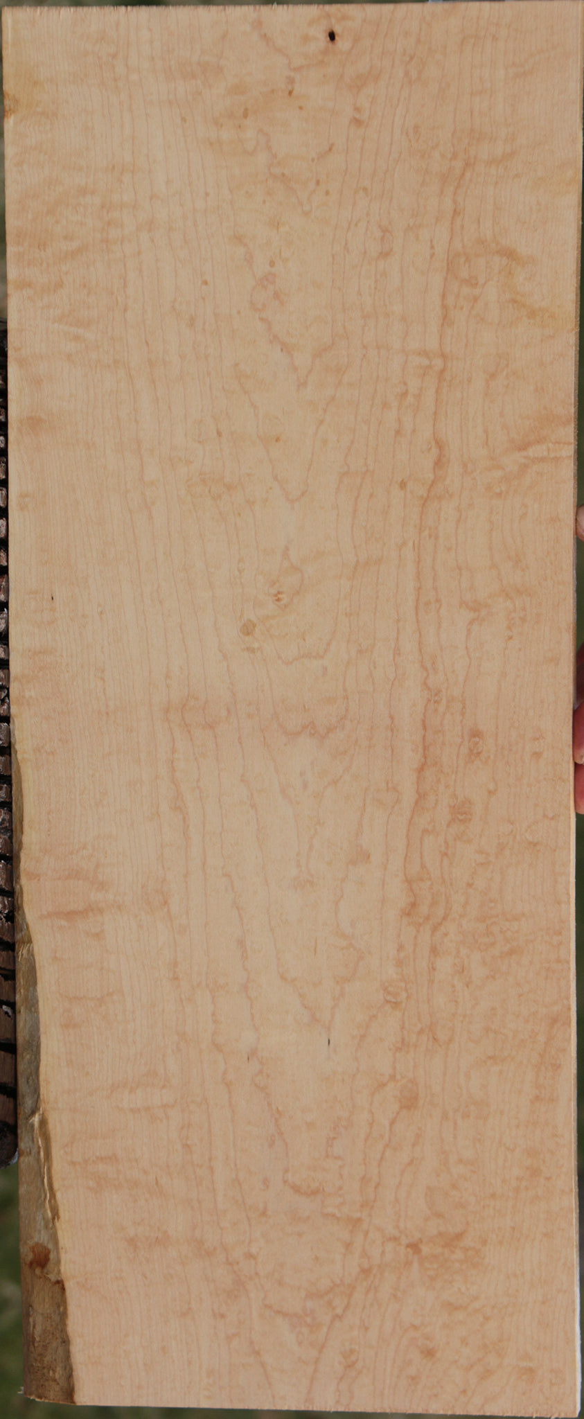Extra Fancy Birdseye Maple Lumber