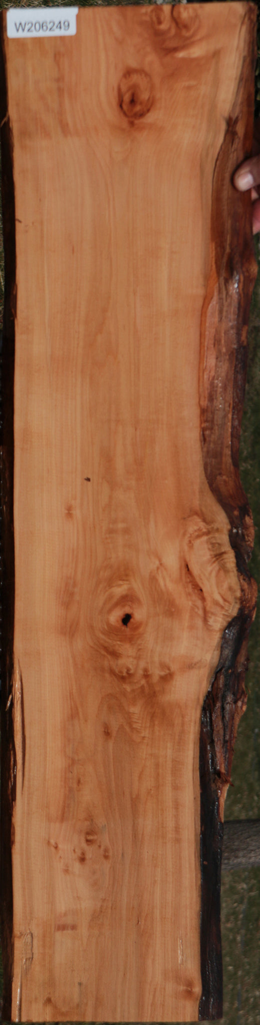 Swiss Pear Live Edge Lumber