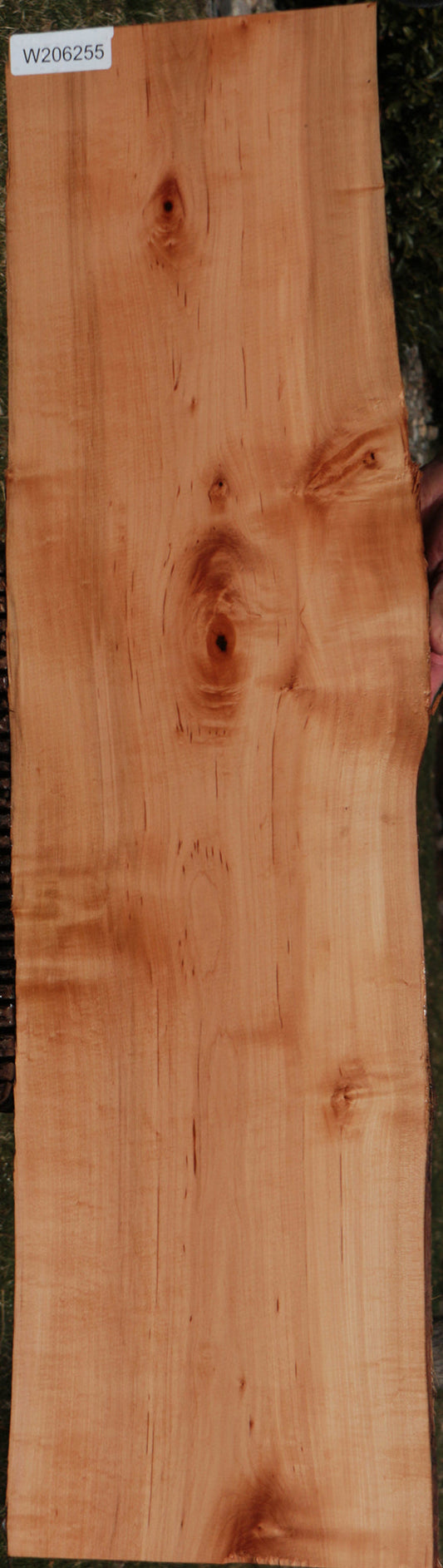 Swiss Pear Live Edge Lumber