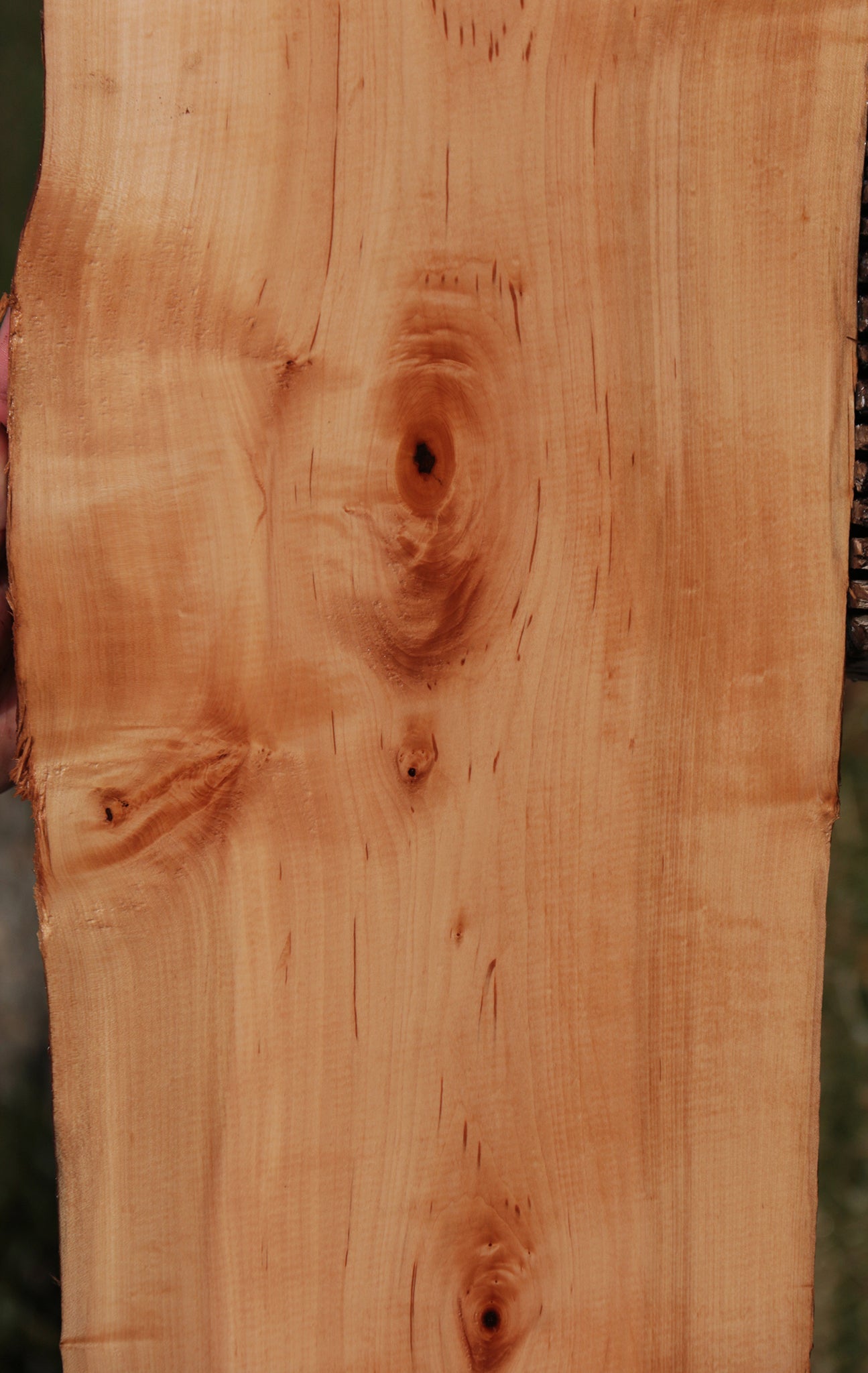 Swiss Pear Live Edge Lumber