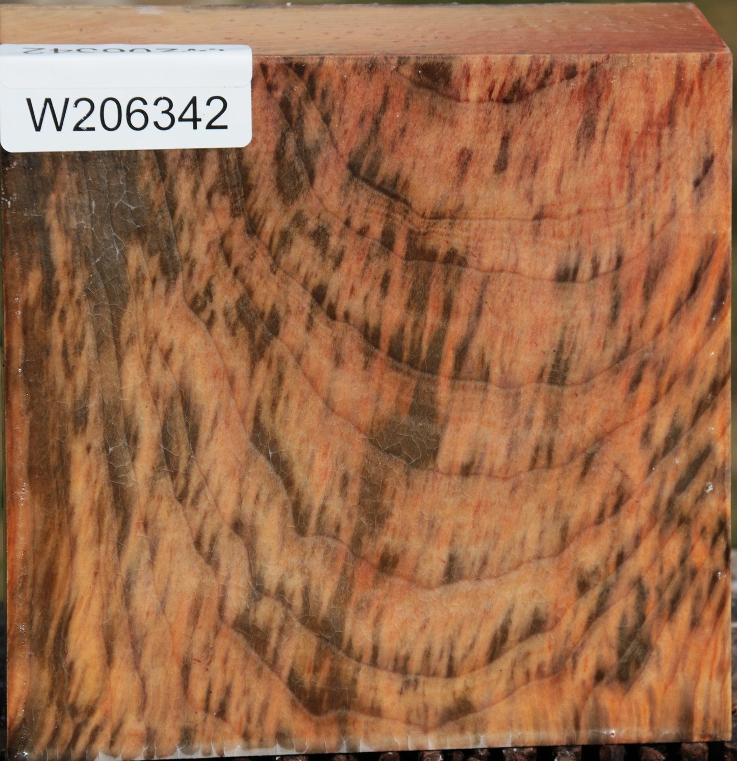 Madrone Burl Bowl Blank