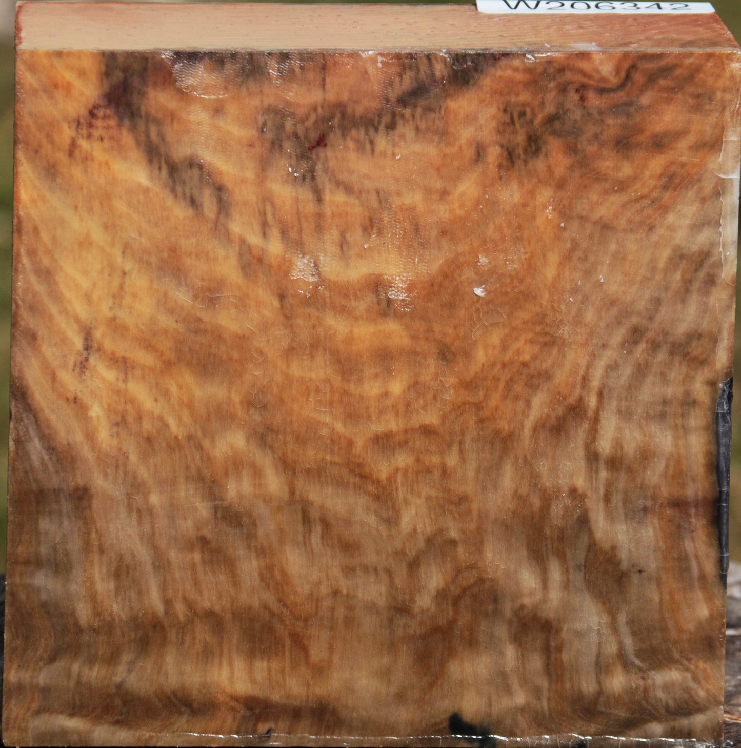 Madrone Burl Bowl Blank