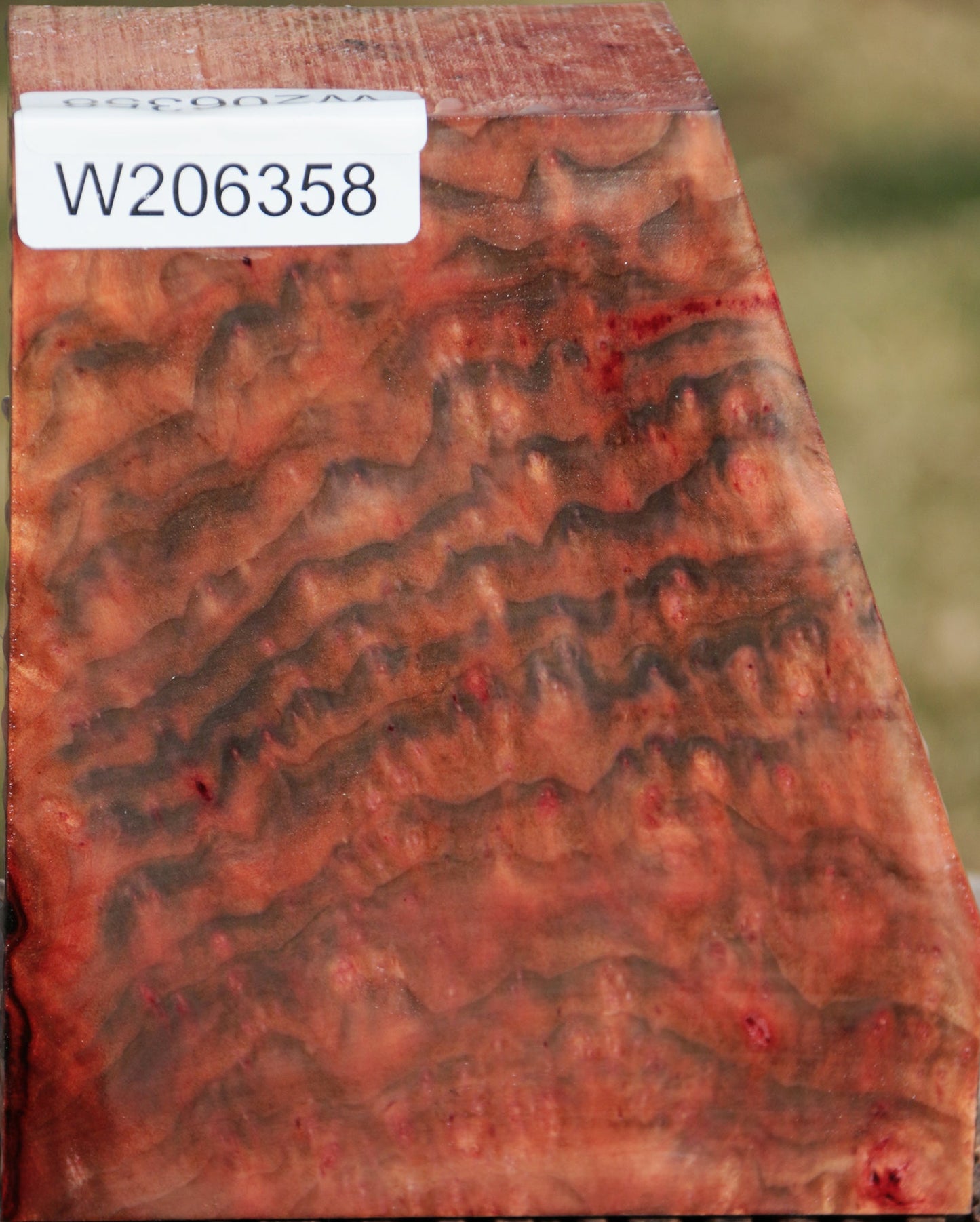 Extra Fancy Madrone Burl Bowl Blank