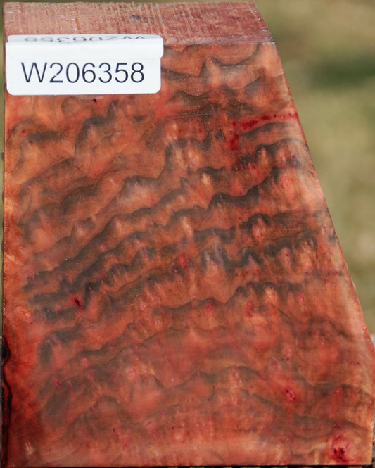 Extra Fancy Madrone Burl Bowl Blank