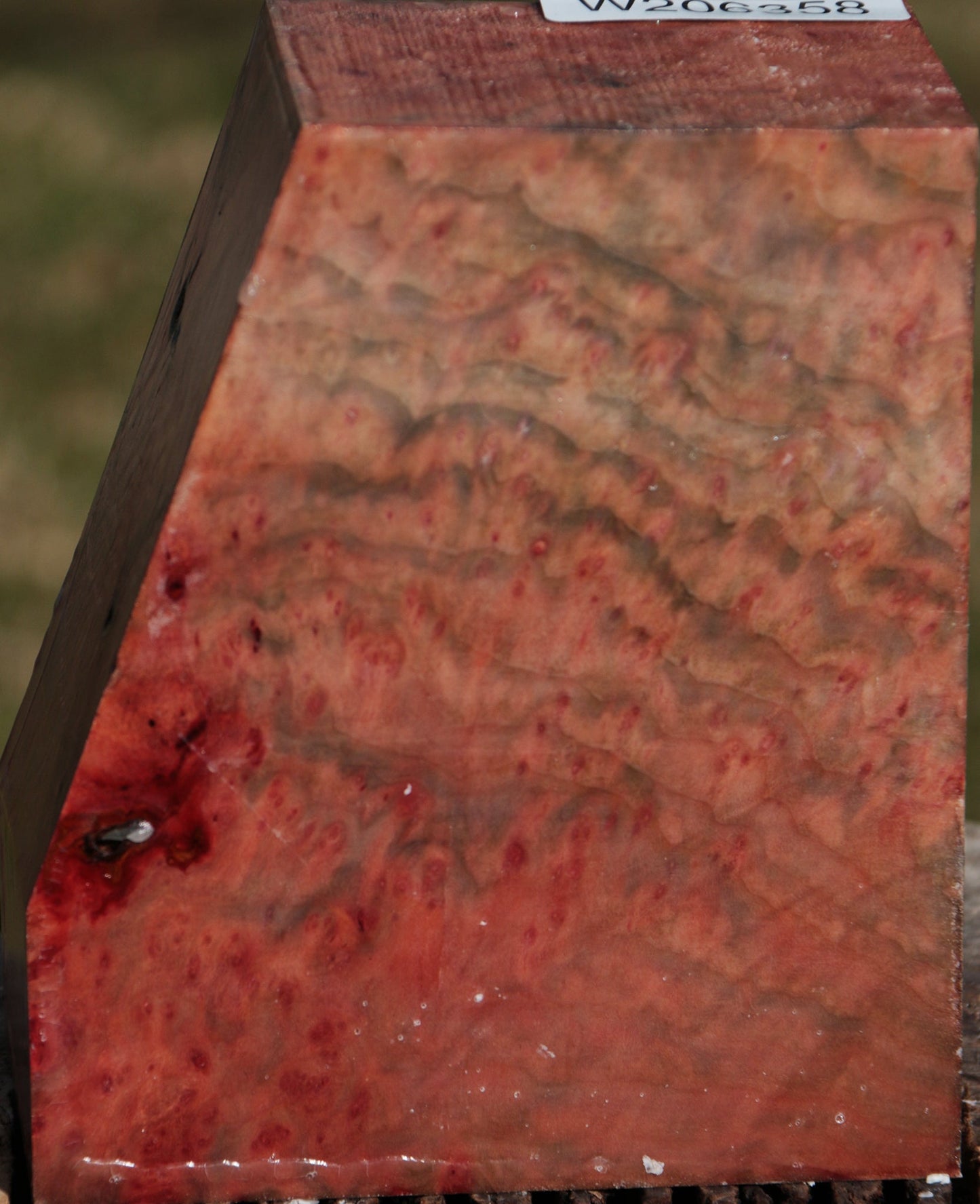 Extra Fancy Madrone Burl Bowl Blank