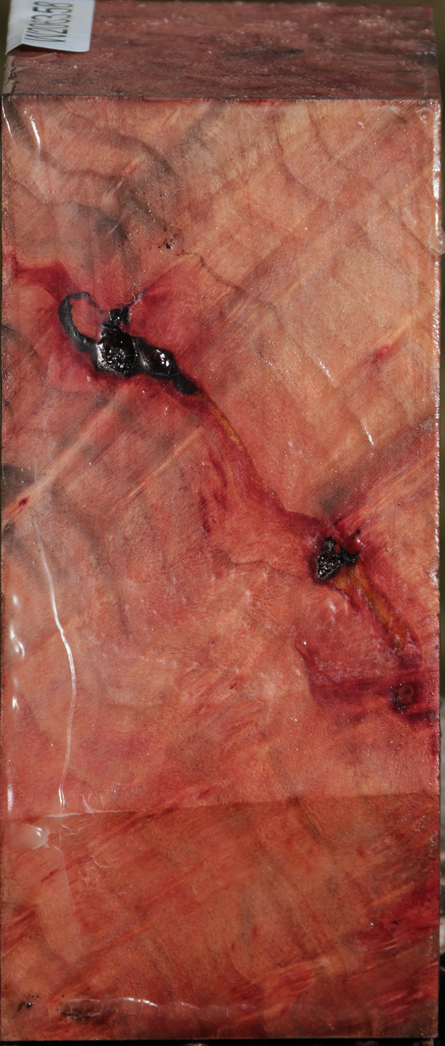 Extra Fancy Madrone Burl Bowl Blank