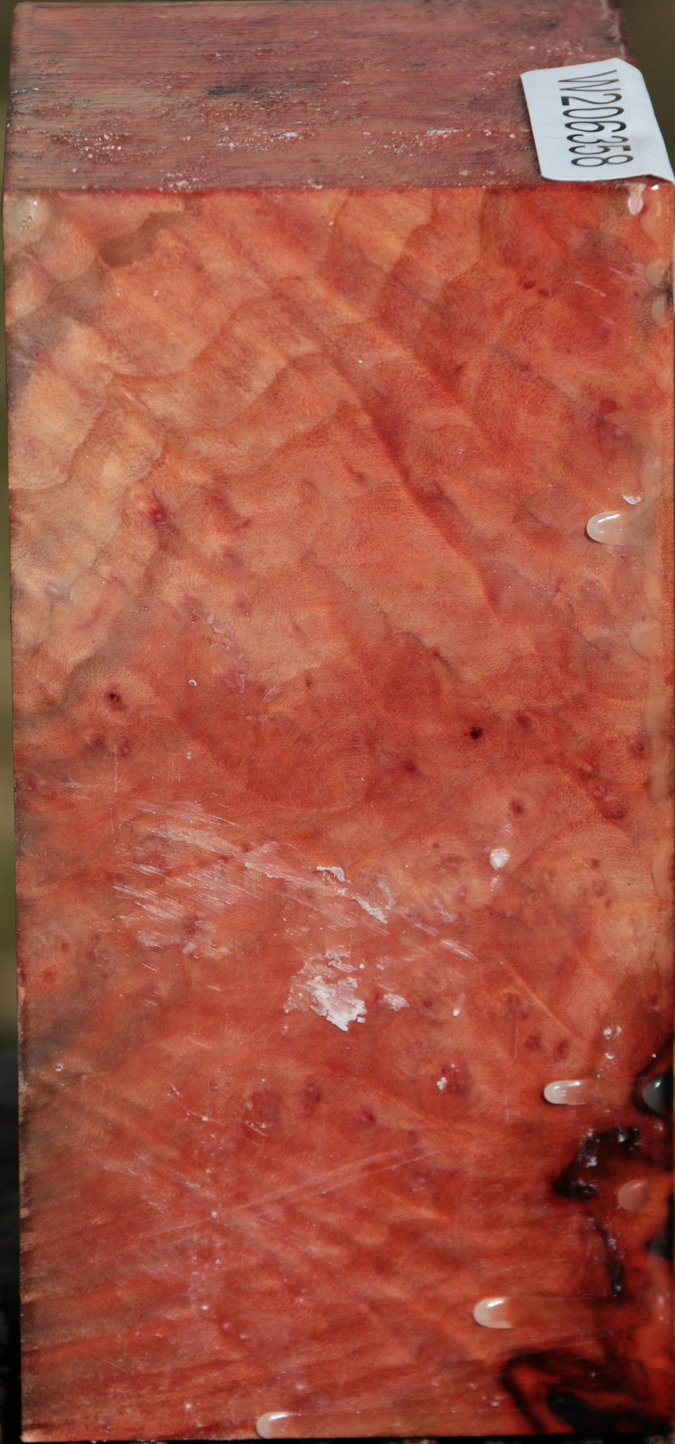 Extra Fancy Madrone Burl Bowl Blank