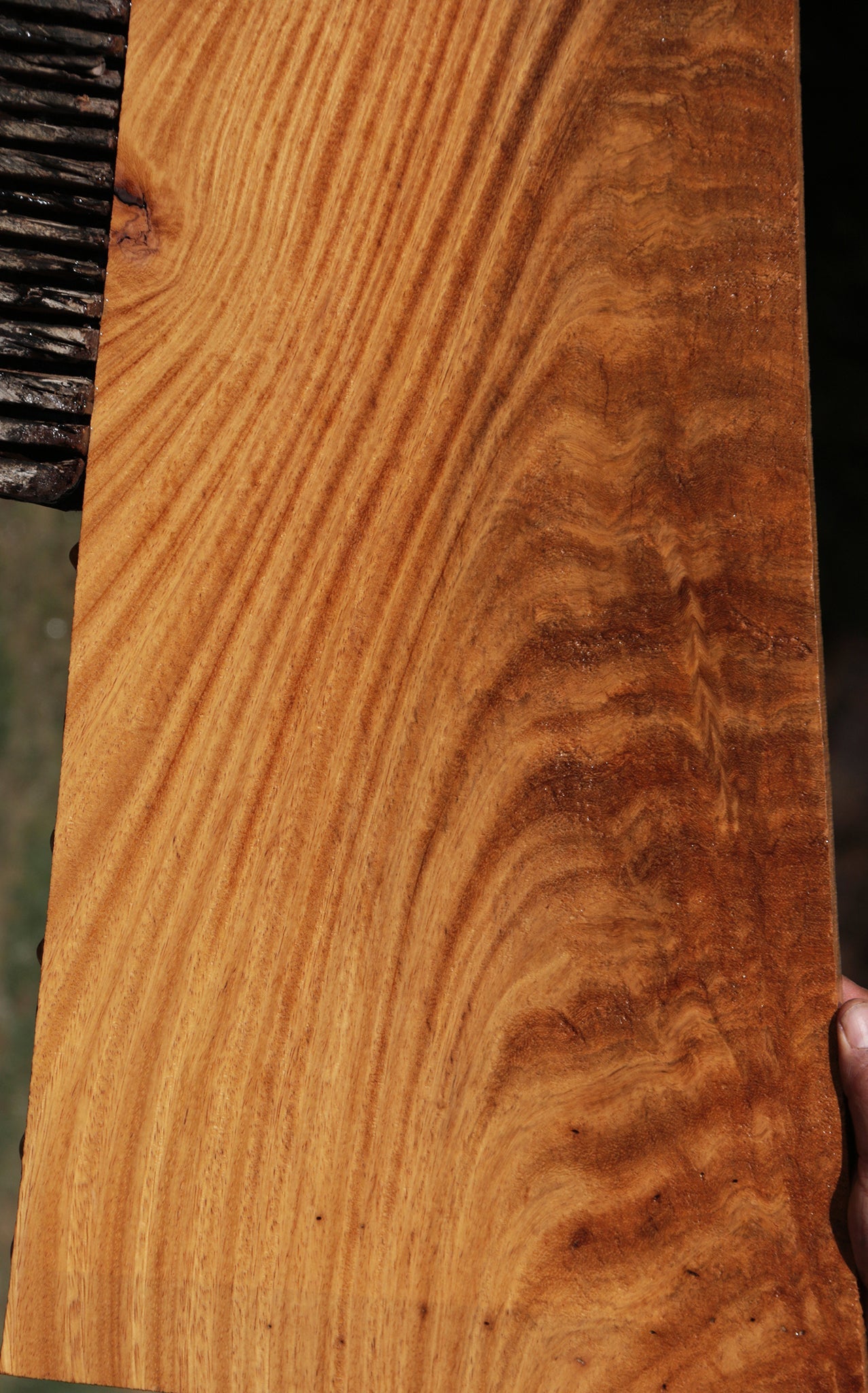 Extra Fancy Figured Crotchwood Cerejeira Lumber