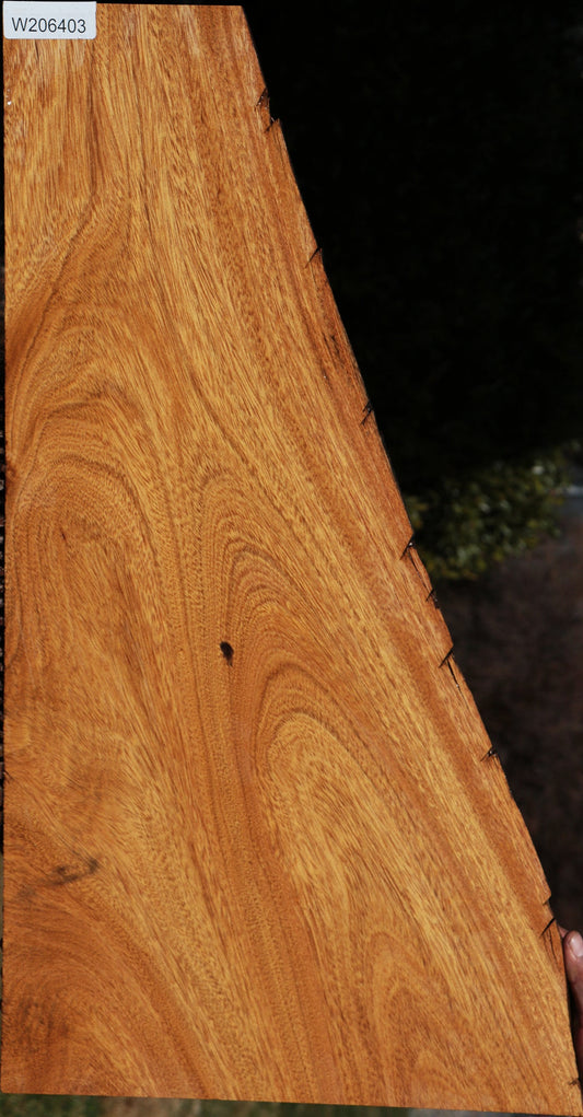Extra Fancy Figured Crotchwood Cerejeira Live Edge Lumber