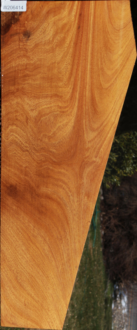 Extra Fancy Figured Crotchwood Cerejeira Lumber
