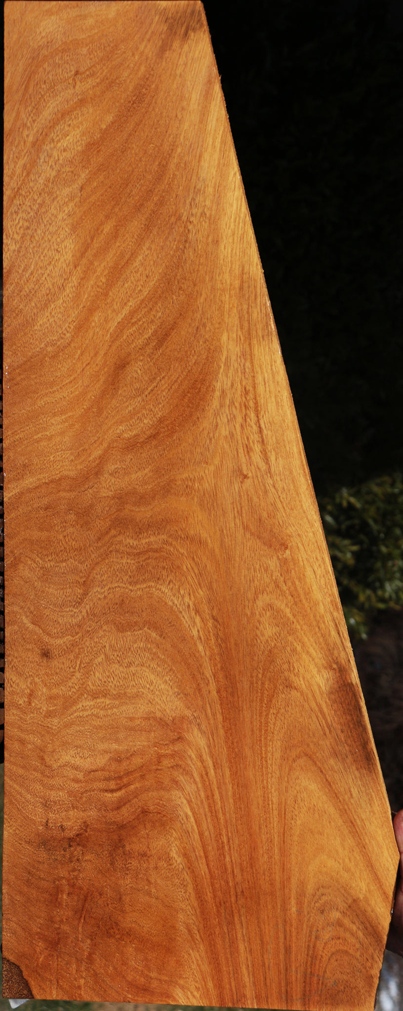 Extra Fancy Figured Crotchwood Cerejeira Lumber