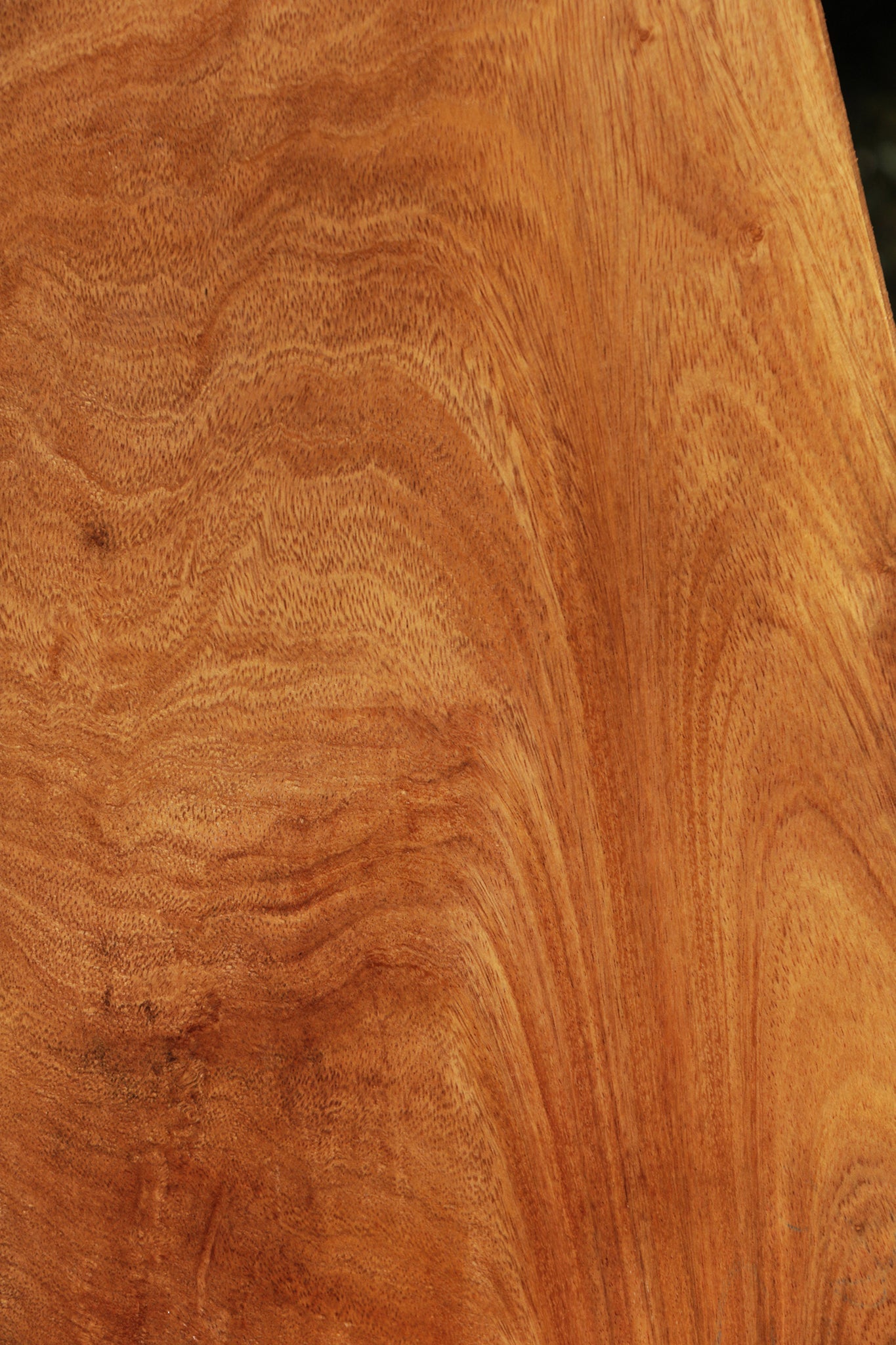 Extra Fancy Figured Crotchwood Cerejeira Lumber