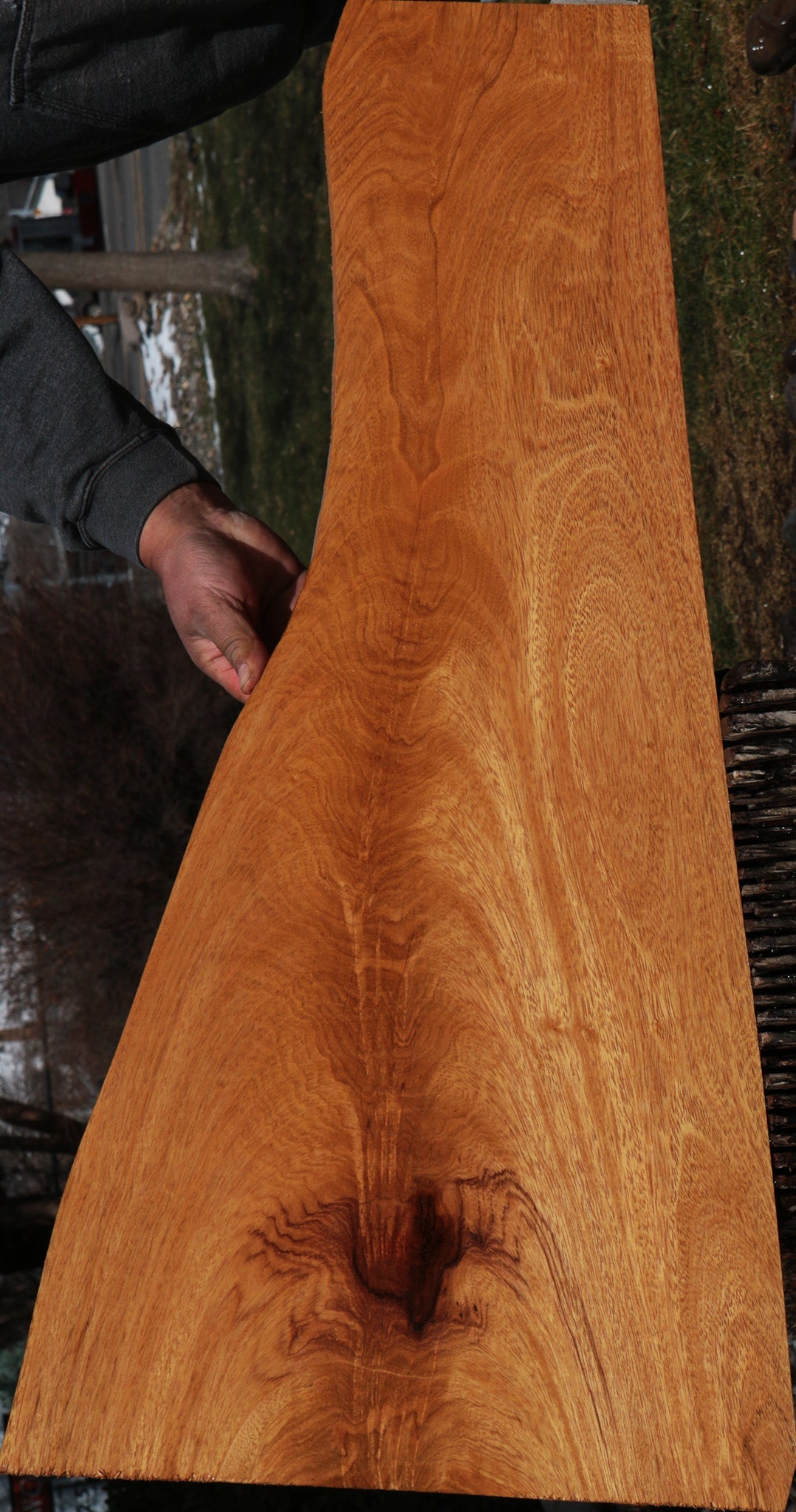 Figured Crotchwood Cerejeira Lumber