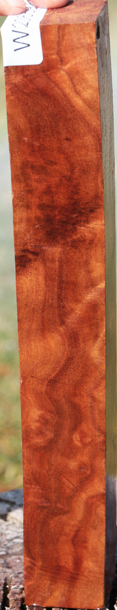 Camphor Burl Turning Square