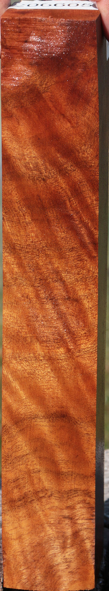 Camphor Burl Turning Square