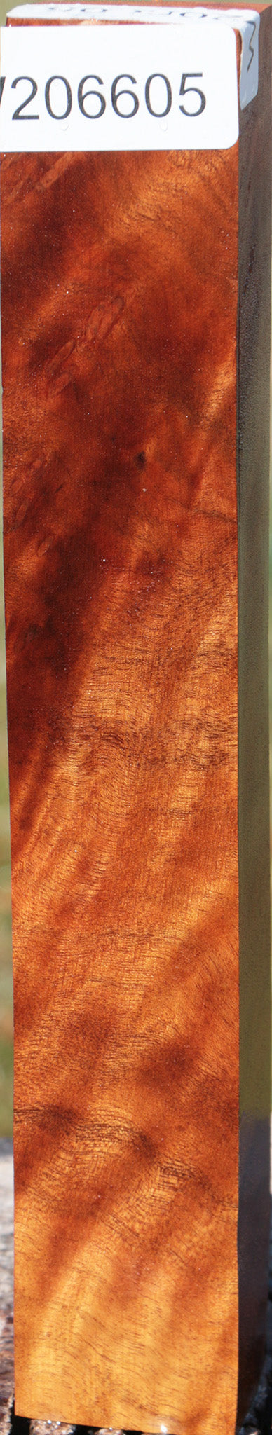 Camphor Burl Turning Square