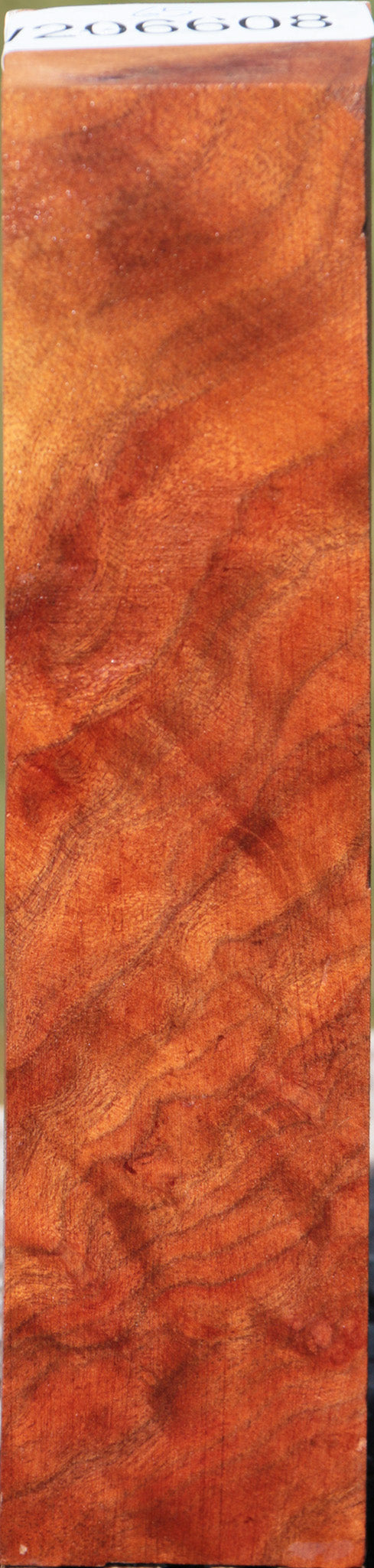 Camphor Burl Turning Square