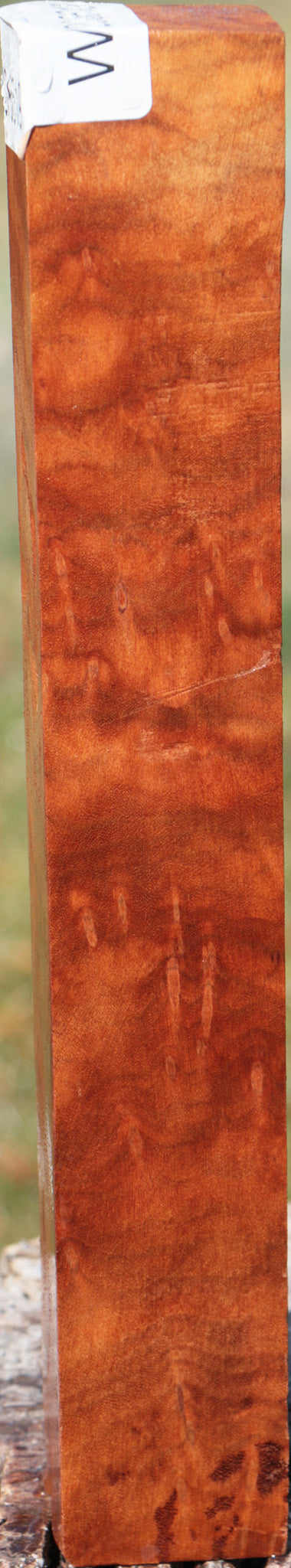 Camphor Burl Turning Square