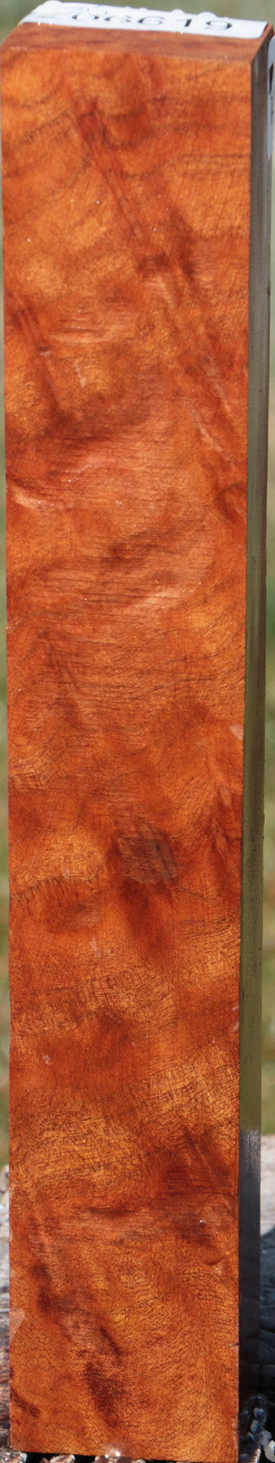 Camphor Burl Turning Square